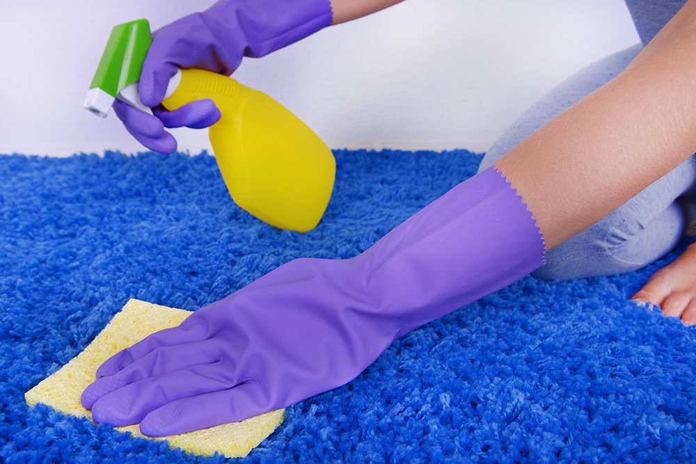 Domestic Cleaning Chiswick W4