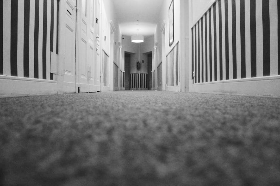 Close-up of a person wearing a black glove using a handheld cleaning device with a white spray head to perform surface cleaning on a dark, textured carpeted floor. The device appears to be emitting a spray or foam solution, indicating deep cleaning or sanitisation as part of professional carpet care. The surrounding area shows vacuum hoses and other equipment, suggesting a commercial or professional cleaning setting. The carpet has visible dust and dirt residue, and the cleaning process is highlighting the surface refresh and hygiene maintenance associated with residential or commercial carpet cleaning services offered by Chiswick Carpet Cleaning, tailored to the Gunnersbury Park area.